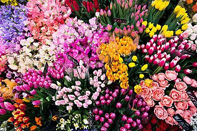 动画《新网球王子》确定改编游戏登陆任天堂Switch